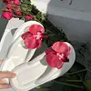 Infilata rossa con fiocco