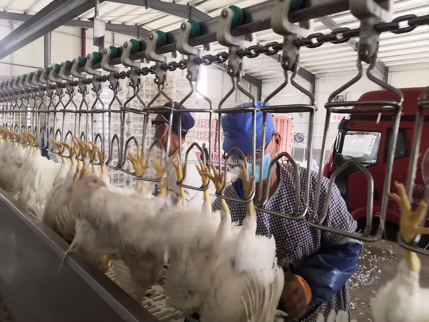 Automatic Chicken Slaughter House Equipment Line
