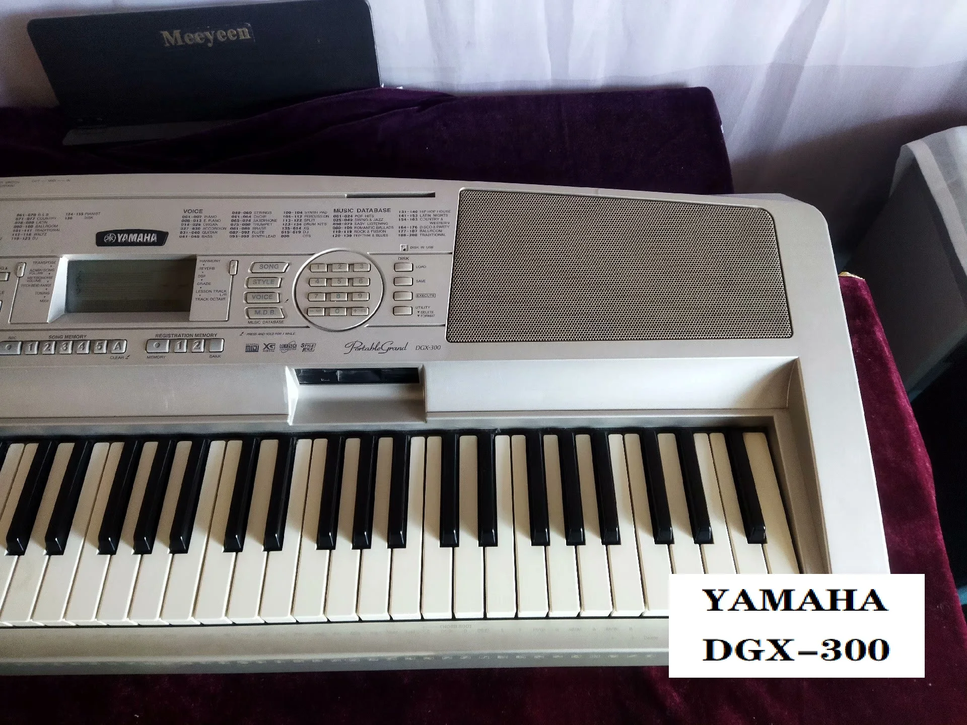 Yamaha DGX 300 keyboard review.