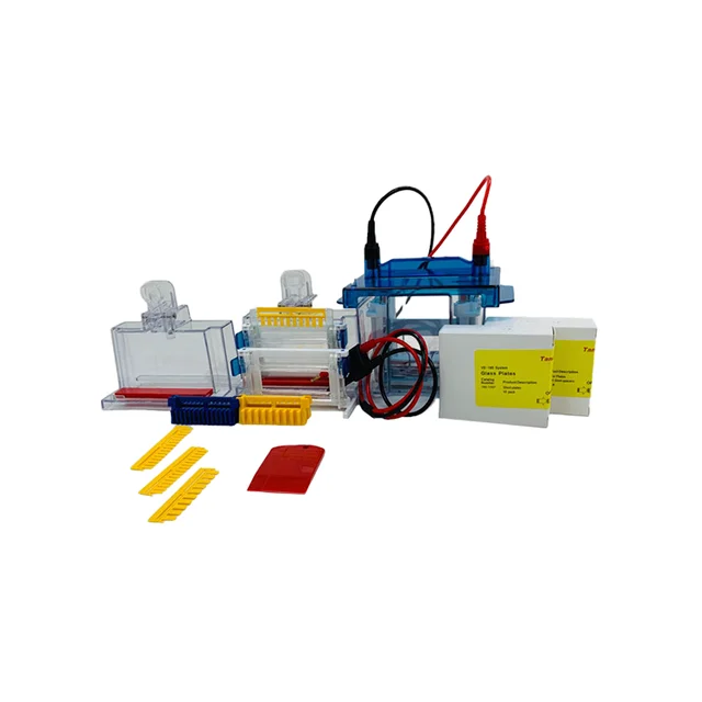 Western Blot  Lab Equipment VE-180 Mini Vertical Electrophoresis Tank for Protein & DNA/RNA  Research