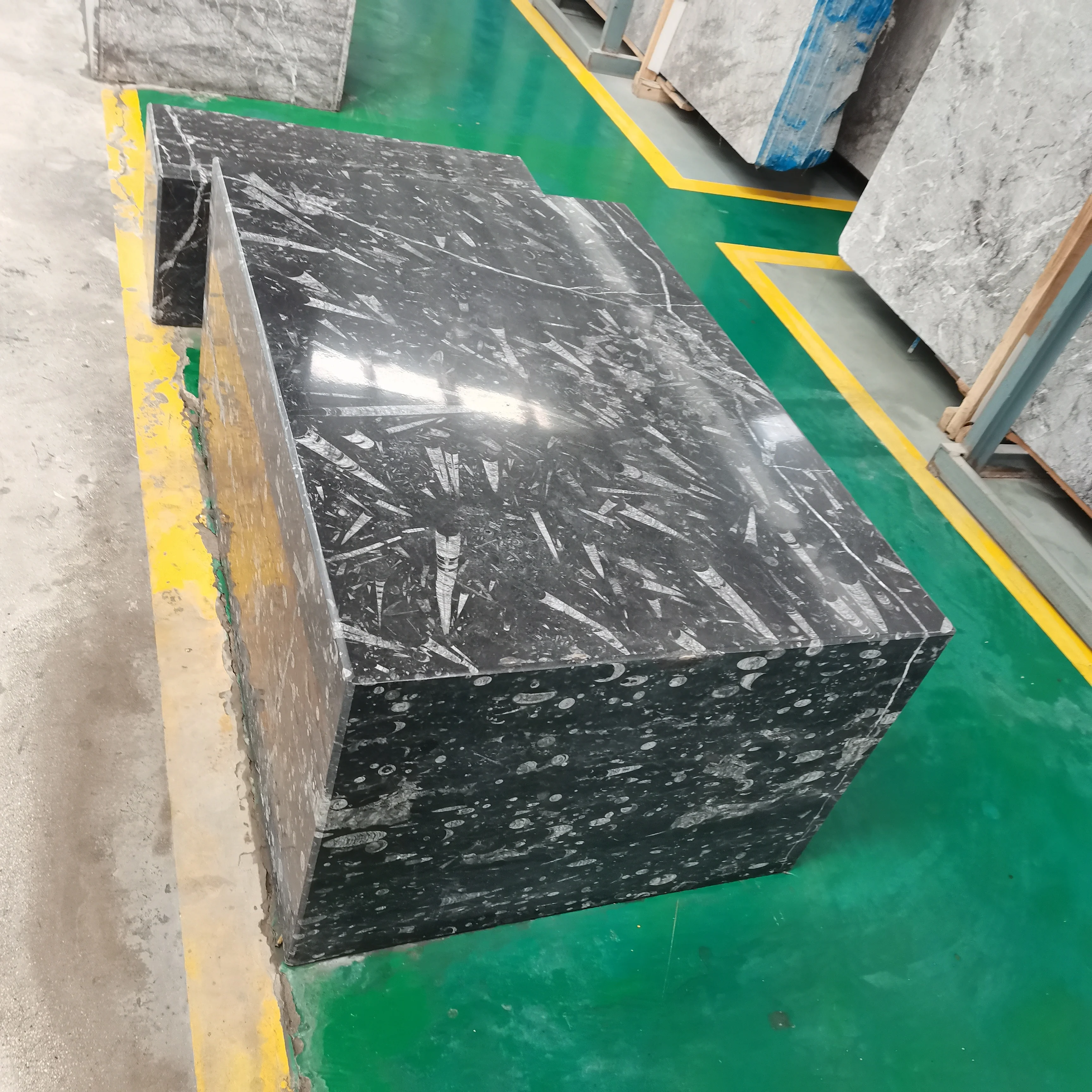 Moroccan Fossil Brown Fossil Marble