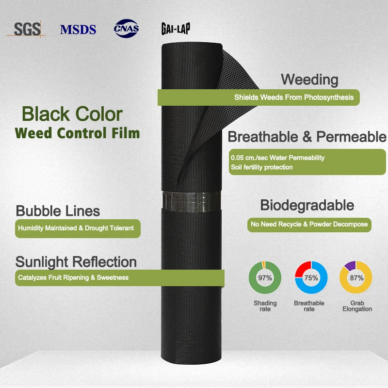 Eco Anti Grass Product Colth Roll Weed Control Mat Polypropylene Weed Mat Biodegradable Weed Membrane