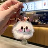 Of white cat