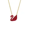 Trompeta de cisne rojo