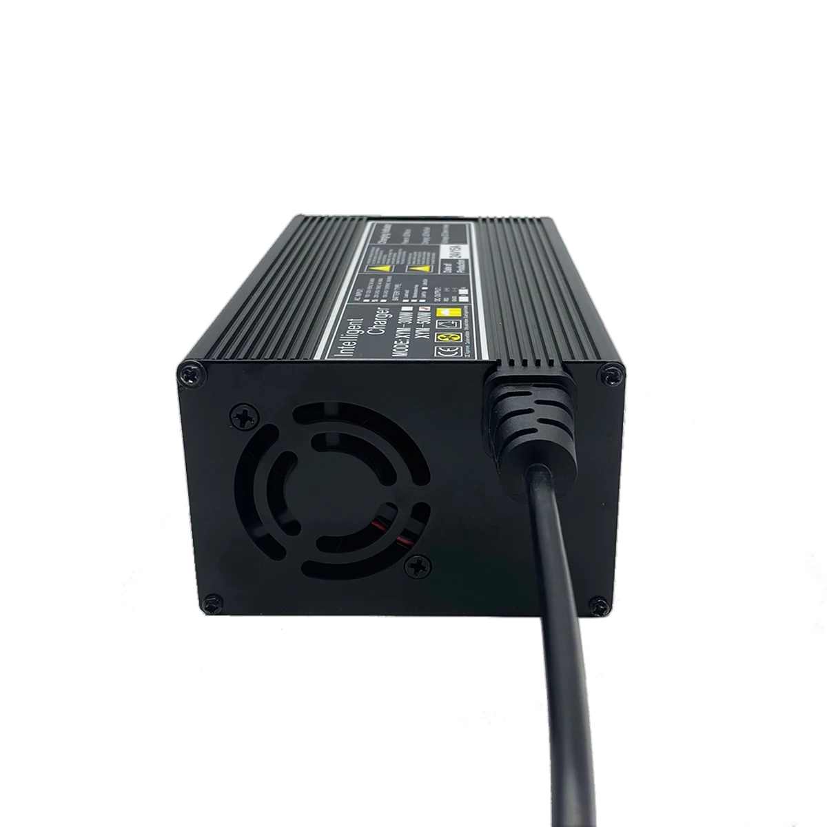 Customized High Power Fast Charging 13S 54.6V Lithium Ion Battery Chargers 48v 6A Lifepo4 Charger