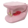 B027T Cat Tooth Model