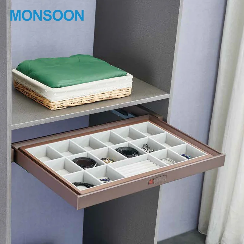 Wholesale Luxury Master Bedroom Closet Pull Out Wardrobe Organizer Storage  Boxes Jewellery Box Drawer for Watch Tie and Jewelry