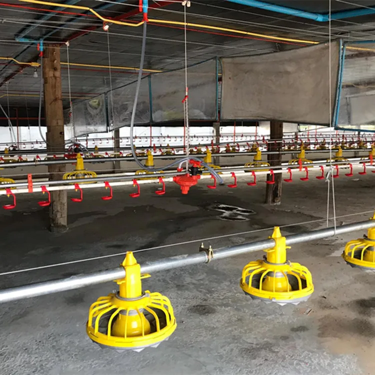 Automatic Controller Economy Broiler House Drinking and Feeding System Poultry Farming Equipment