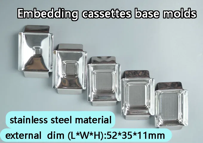 pathology base mold