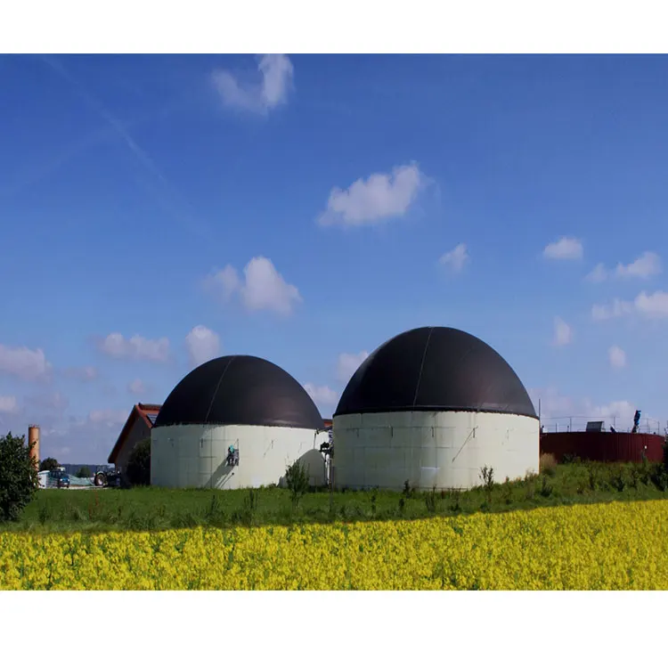 Biogas Digester for Sale Biogas Digester System Mini Biogas Digester