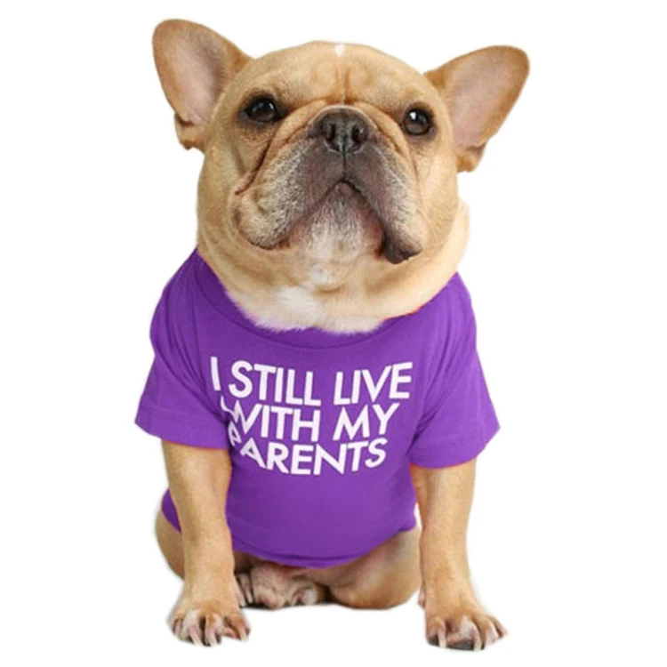 customizable dog shirts