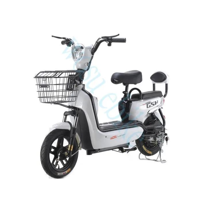 Two Wheel Battery Wala Cycle New Design  Electric Bicycle Price With Pedal Bike for Adult