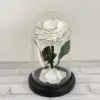 Chanson fond noir sans lampe et boîte cadeau