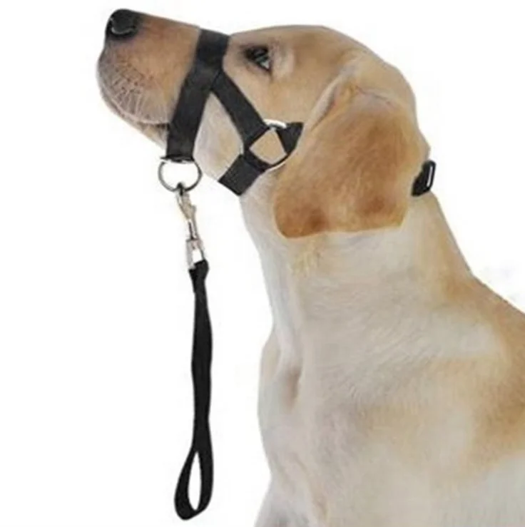 Prevents Pulling Comfortable Adjustable Safety Strap Dog Head Halter