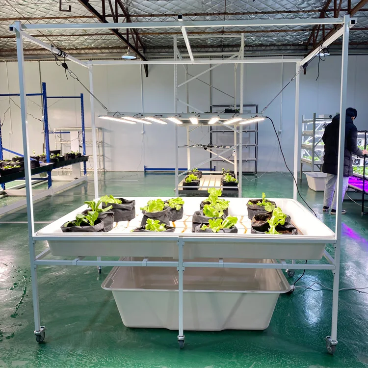 Aeroponics Hidroponia Greenhouse Seedbed Water Reservoir 130gal