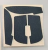GPW1