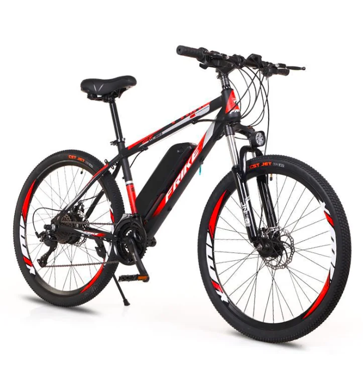 neumaticos para ebike