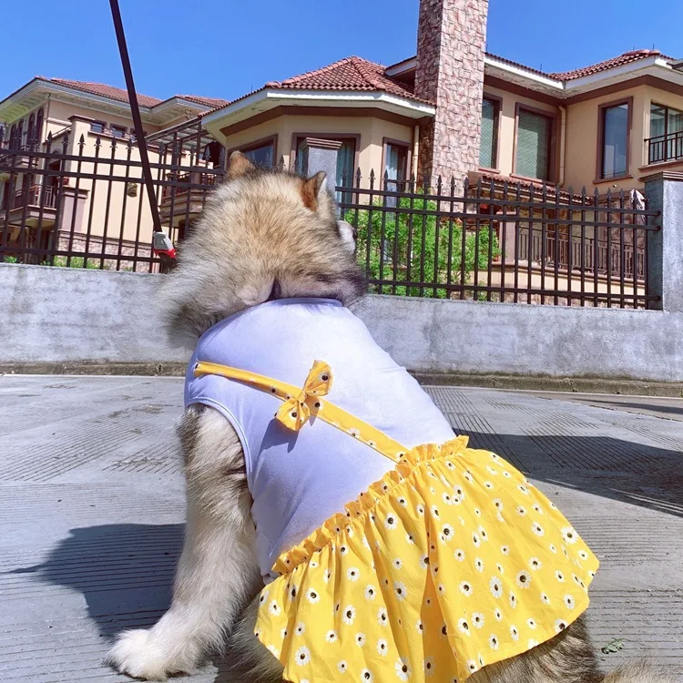 gold dog dress Fancy Tutu Dress main image 1