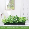 E80-1 80*25cm flower troughs