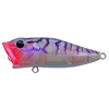 Transparent/Purple Pattern