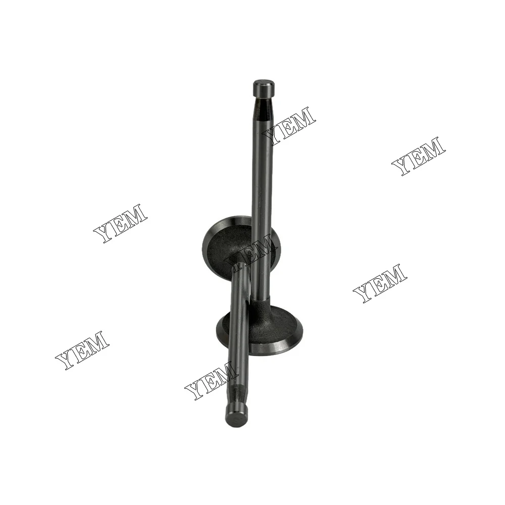 295AD Valve for SDEC Valve Engine Parts Manufacturer 3