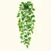 Vite di Pothos verde con vaso