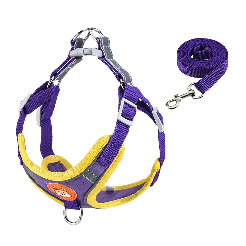 Custom Personalized Luxury Soft Breathable Mesh Pet Dog Harness and Leash Set manufacture