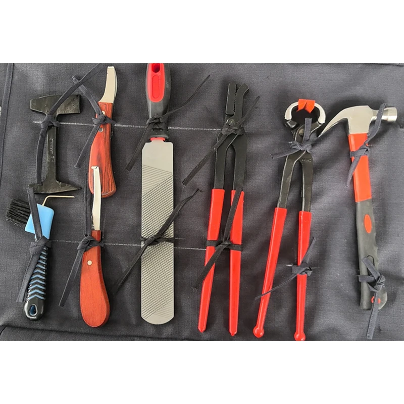 GAQDDRE Trousse d'outils de Coupe de Sabot de maréchal-ferrant, Outils de Coupe de Sabot de Chevaux Professionnels