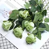Snow Mountain Green (20 pieces)
