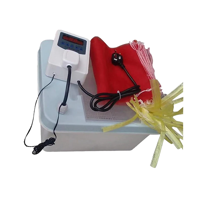 High Productivity Accelerates Seed Germination Machine Sprouter Spreader for Rice Wheat Mung Beans Germination Stimulator