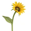 Amarillo