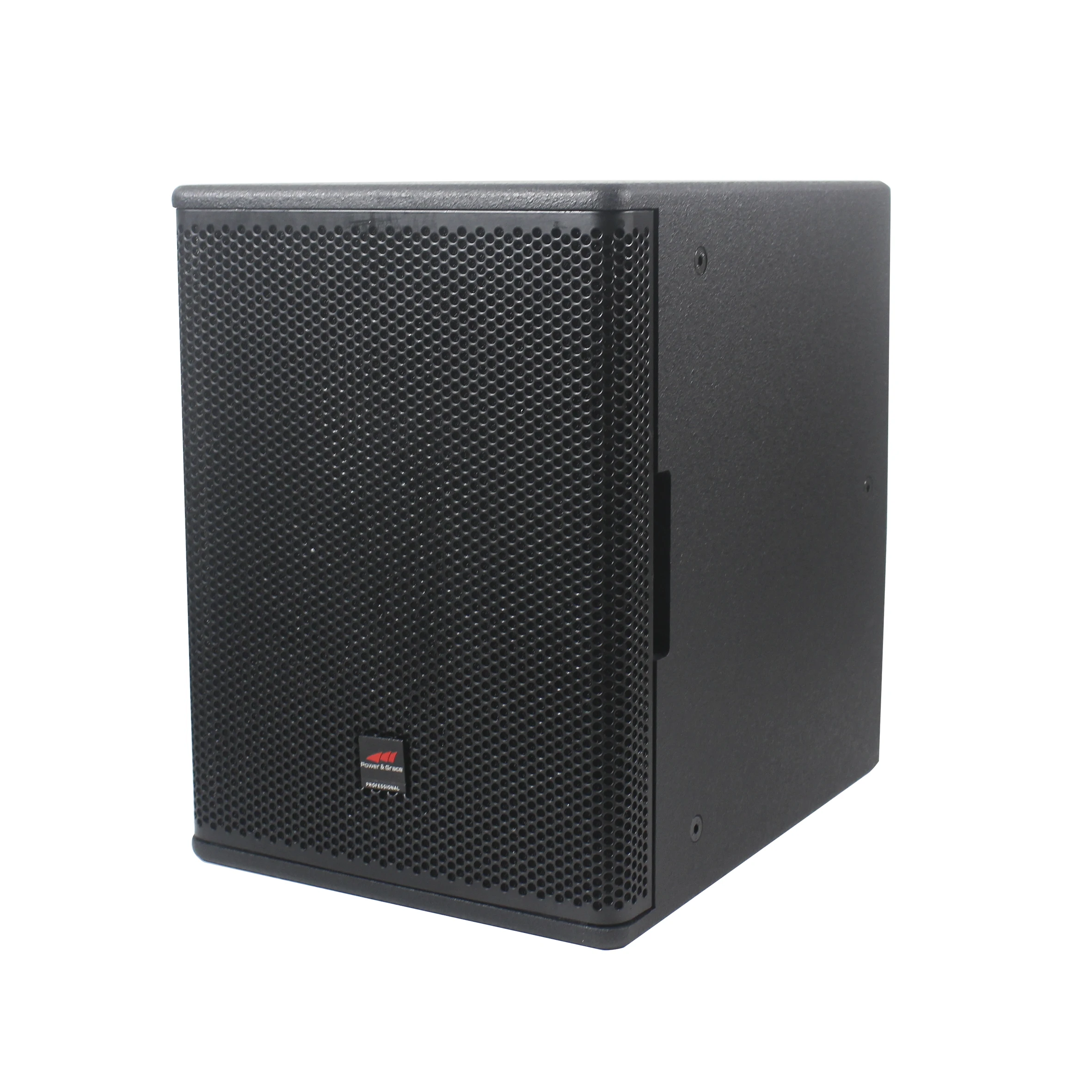 T Sub-10-inch PA Home Audio Sub Woofer 250W Subwoofer with Passive Home  Theatre Speakers Subwoofer