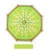 Kiwi verde5