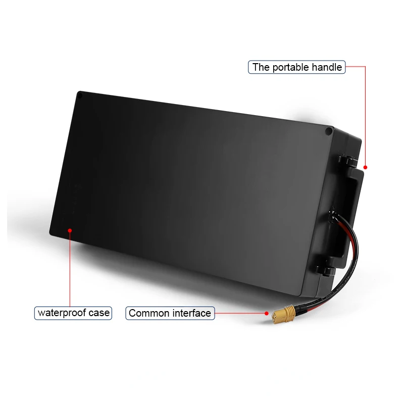 Citycoco 60V 20Ah Removable Lithium Ion Battery for Electric Scooters ...