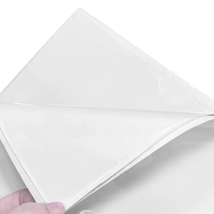 Clear Vinyl Sticker Index Card Sleeve Label Holder Photo Protector