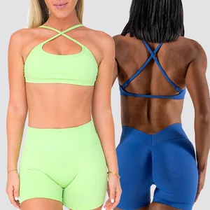 New Arrival Colorful Colors Seamless Push up Outfit Fitness & Yoga Wear Yoga Gym Workout Sets for Women
