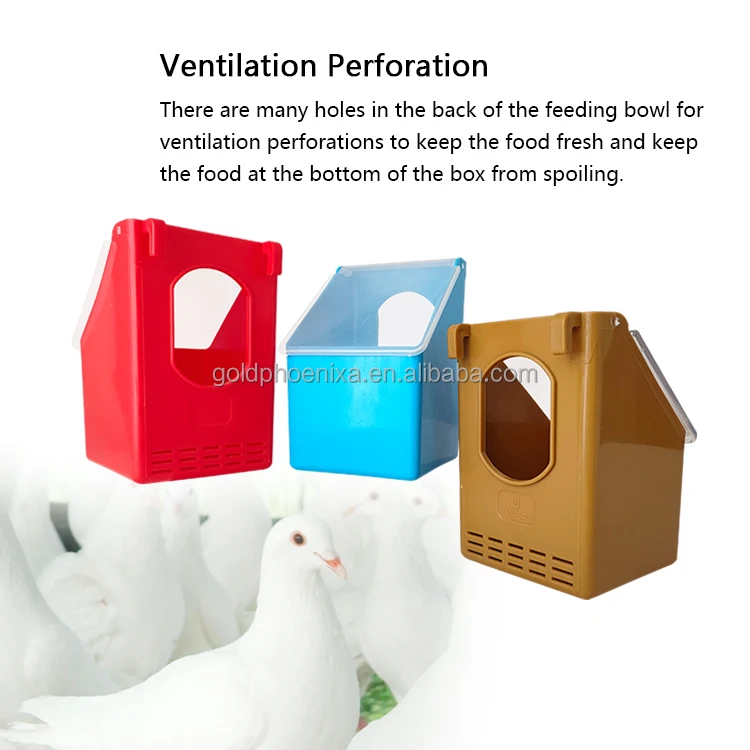 YYC New Condition Plastic Bird Cage Cup Pigeon Feeding Box in 1 2 3 Hole Options Pigeon Feeder