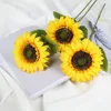 Girasol (500 girasoles por paquete)