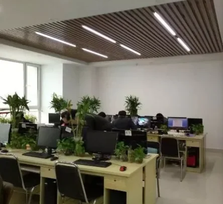 Dongyang Tongshang Trading Co., Ltd. 3