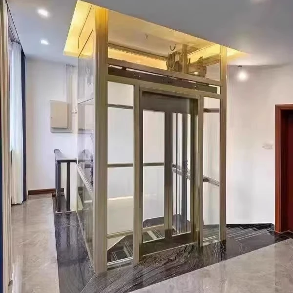 Cheap 2 to 3 Stops Mini Residential Elevator One Person Small Elevator for Homes Price