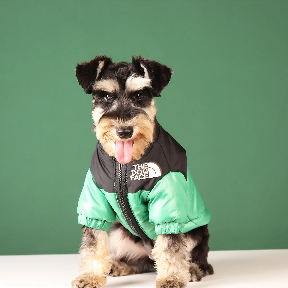 Pet Apparel Dog Winter Puffer Jackets Luxury Dog Jacket Waterproof