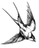 quijote239