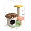 Three-layer mushroom - camel color