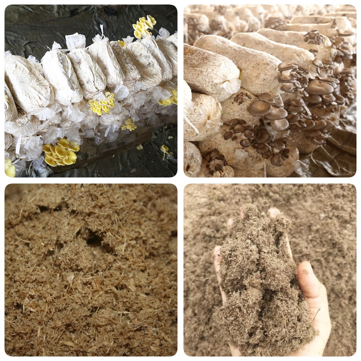 Durable Mushroom Stick Bag Separator Mushroom Substrate Crushing Machine Waste Mushroom Bag Crusher