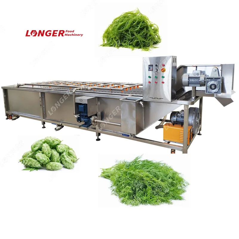 Industrial Rambutan Washing Sorting Drying Machine Clean Date Wash and Dry Production Line