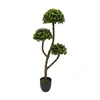 Green-TZL2411124