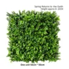 Green Spring Returns to the Earth