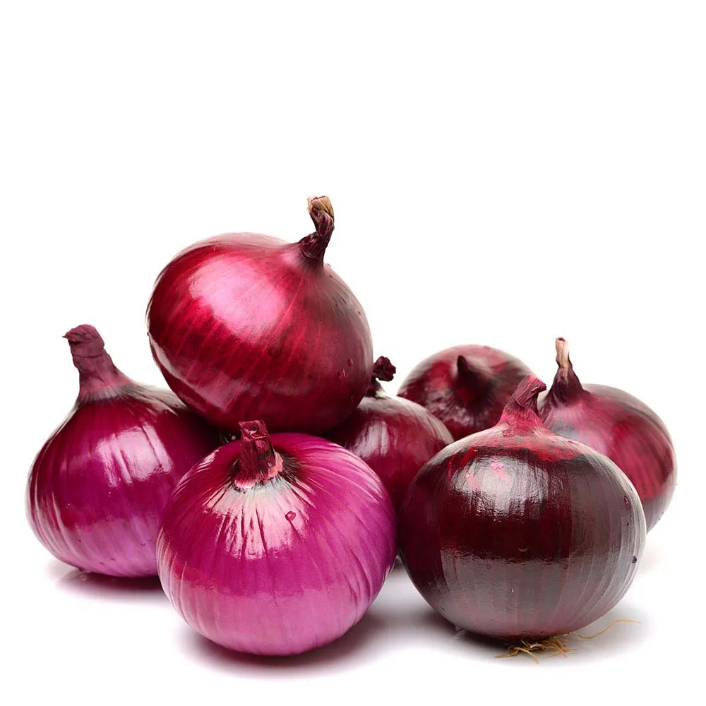 Premium Quality Red Onion New Crop Pakistani Fresh Red Onions Good Price Natural Healthy