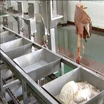 Cow slaughter inspection system cleans red and white internal organs with tripe in washing machine