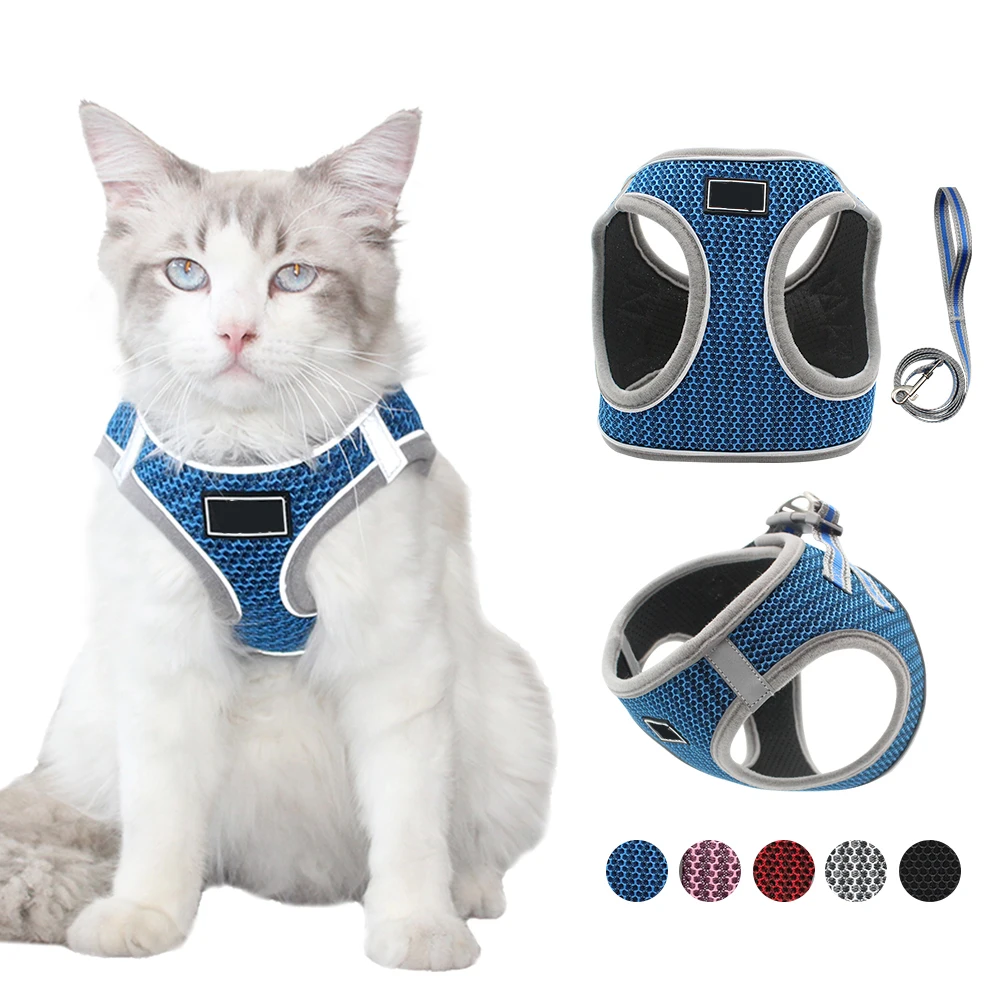 led cat harness